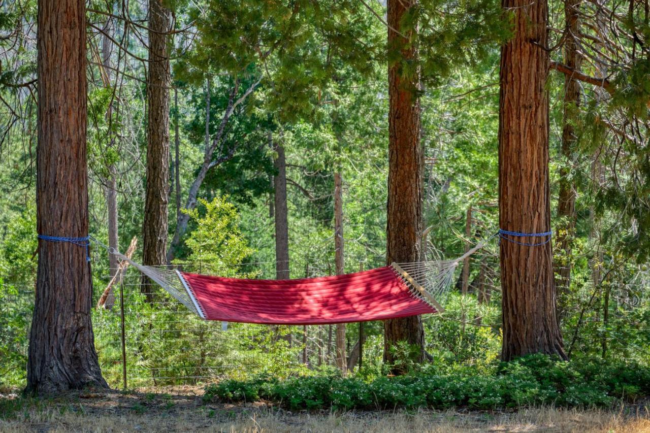 Moonrise Lodge - A Large Vacation Home In Маріпоса Екстер'єр фото